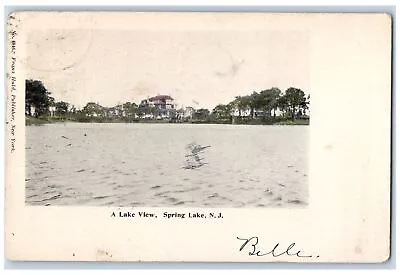 1906 A Lake View Spring Lake Monmouth Hotel Scene New Jersey NJ Posted Postcard • $14.98