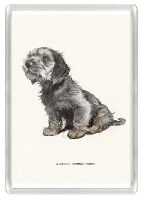 £2.99 • Buy Dandie Dinmont Terrier Puppy Dog Art Print Novelty Fridge Magnet Great Gift