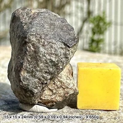 NWA 869 L5 Chondrite Meteorite - Genuine Algerian Space Rock • £43.20