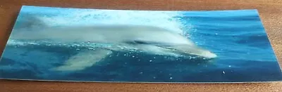 3D Awesome Dolphin 🐬 Lenticular Bookmark BRAND NEW! E2 • £2.50