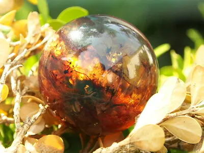 Mexican Amber Sphere • $38