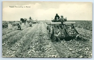 $9.97 • Buy Postcard Potato Harvesting In Maine Farming Equipment J105