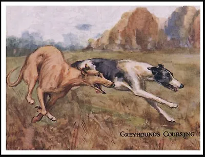 Greyhound Coursing Lovely Vintage Style Dog Art Print Poster • £4.99