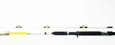 Ol' Whiskers Catfish 9' Casting Rod Ows-902t W/ Glow In The Dark Tip • $34.99