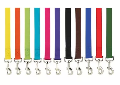 Brite Color Nylon Leads For Dogs Choose From 11 Colors 3 Sizes Dog Leash Lead  • $15.89