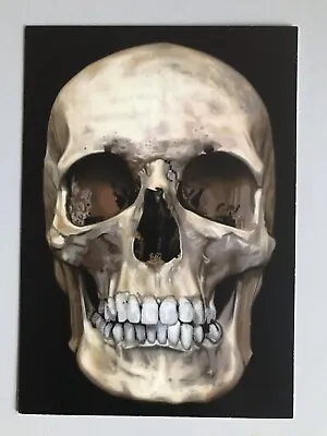 DAMIEN HIRST ‘THE SKULL BENEATH THE SKIN’ Exhibition Art Card 2005 • £29.99