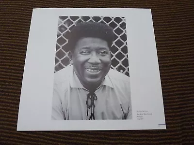 Single Page Muddy Waters Coffee Table Book Photo • $2.99