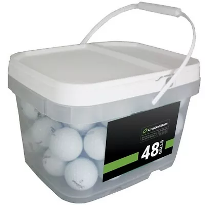 48 Titleist Pro V1 2021 Used Golf Balls AAAA Near Mint *In A Free Bucket!* • $74.77