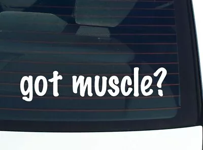 Got Muscle? CAR DECAL BUMPER STICKER VINYL FUNNY JOKE WINDOW • $2.97