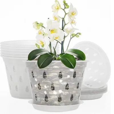 Transparent Orchid Pot With Holes Clear Meshpot Pot Breathable Growth Container • $11.99