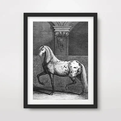 HORSE EQUESTRIAN ENGRAVING ART PRINT Poster Home Decor Wall Picture A4 A3 A2 • £14.99
