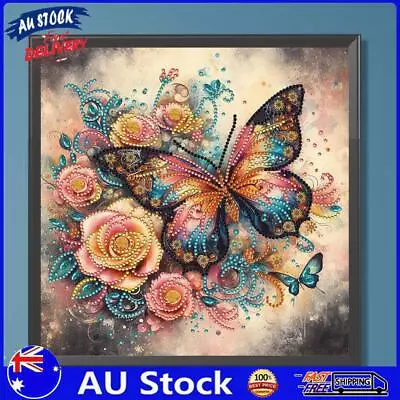 AU 5D DIY Partial Special Shaped Drill Diamond Painting Kit Butterfly Decor 30x3 • $9.89