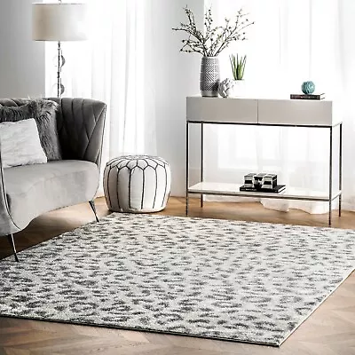 NuLOOM Contemporary Modern Animal Leopard Print Area Rug In White And Grey • $44.29