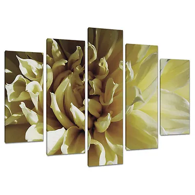 Set Of 5 Cream Floral Canvas Prints Pictures Living Room Wall Art 5104 • £69