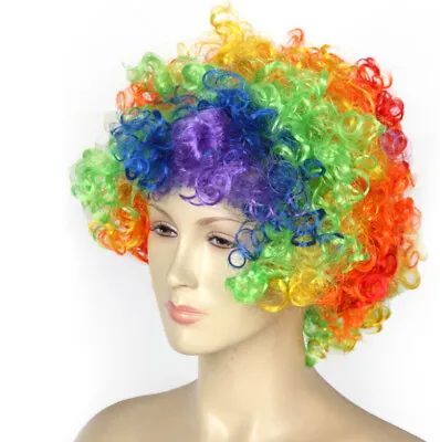 Circus Curly Afro Clown Wig Halloween Fancy Dress Adult Coloured Rainbow • £7.99