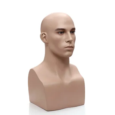 $75 • Buy Adult Male Realistic Fleshtone Fiberglass Mannequin Head Display