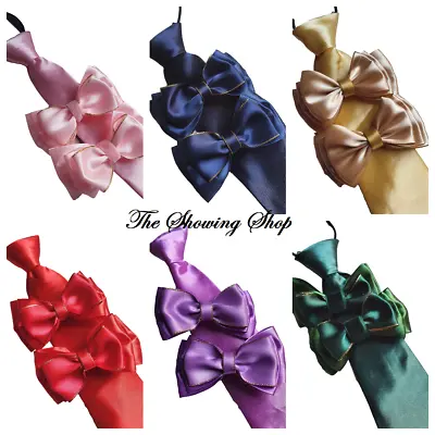 Equestrian Show Bows And Tie Set - Various Colours • £10.99