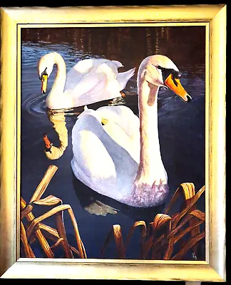 Beautiful Original Acrylic On Canvas  Swanning Around   Framed & Signed +COA • £115