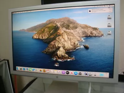 Apple Cinema Display A1081 20-inch Monitor Tested No Adapter • $70