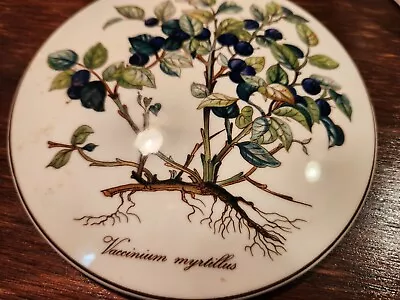 Villeroy & And Boch Porcelain Trinket Box W Lid Vaccinium Myrtillus Botanica • $19.99