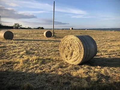 £35 • Buy Large Round Bale Meadow And Rye Grass Hay- Excellent Quality- Horse Hay