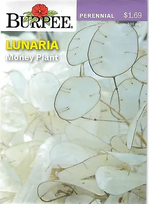 Lunaria Money Plant Flower Seeds - Burpee  11/24 • $2.50