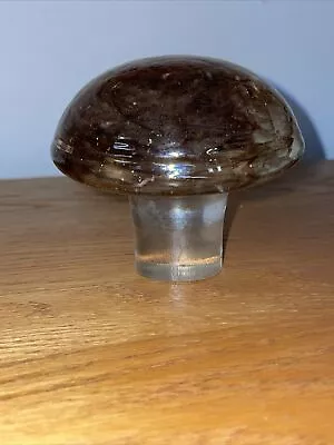 Art Glass Brown Clear Mushroom Paperweight • $17