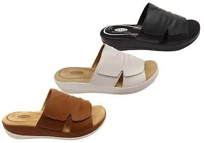 £53.23 • Buy Scholl Orthaheel Cora Womens Comfortable Memory Foam Slide Sandals - ShopShoesAU