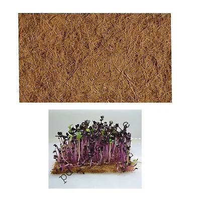 Microgreen Coconut Husk Natural Biodegradable Fibre Mat Various Sizes   • £3.05