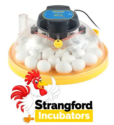 £149.99 • Buy Brinsea Maxi II ECO Incubator (30 Chicken Eggs) (AC25) (Poultry, Hatching)