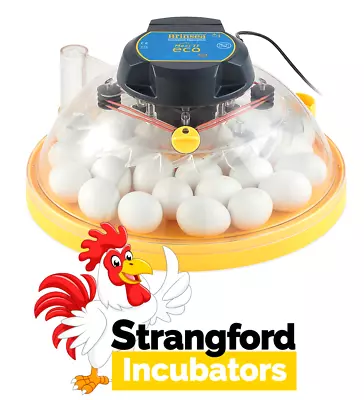 £149.99 • Buy Brinsea Maxi II ECO Incubator (30 Chicken Eggs) (AC25) (Poultry, Hatching)