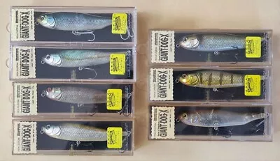 Megabass Giant DOG-X Topwater Lot Of 7 Fishing Lure USA Pro Yuki Ito JAPAN • $149.99