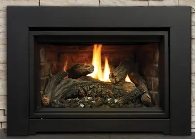 Kingsman 24  Direct Vent Fireplace Insert LP IDV24LP • $2510