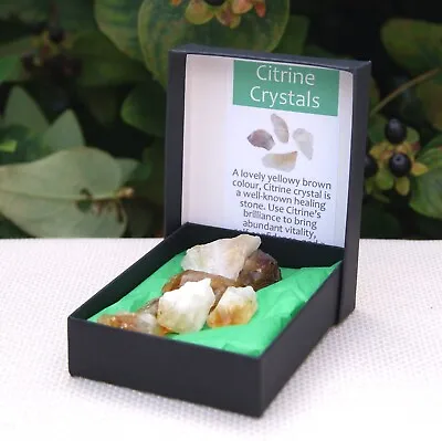 25g Natural Citrine Crystals Chakra Reiki Healing Collectable Presentation Box • £6.49