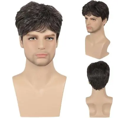 Men Natural Short Straight Wigs Real Male Full Hair Wig Party Cosplay Toupee • $9.63