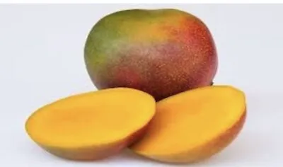 So Sweet Kent Mango - 2 Fresh Seeds - USA • $9.99