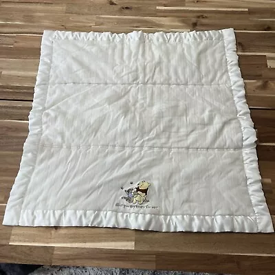 Classic Winnie The Pooh And Roo Have You Any Honey For Me? Thick Baby Blanket  • $34.99