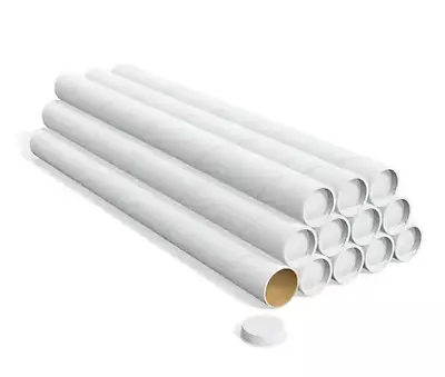 Coastwide Professional Mailing Tube With End Cap 2  X 24  White 11 /Pack • $35