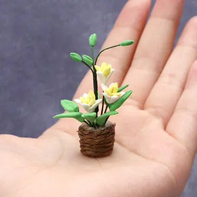 1:12 Scale Dollhouse Miniature Flowers Shop Pot Plants Garden Handmade Clay • $9.99