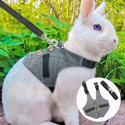 £5.27 • Buy Pet Dog Cat Rabbit Harness And Lead Small Animal Ferret Squirrel Vest Clothes