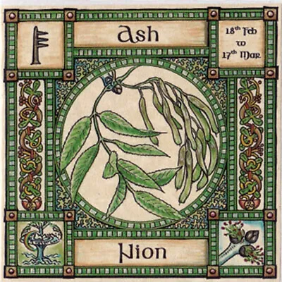 ASH TREE GREETING CARD 18th Feb - 17th Mar CELTIC PAGAN Birthday OGHAM WICCAN • £2.95