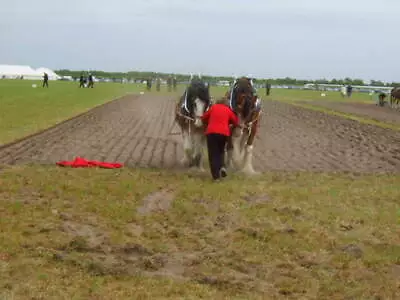 Photo 6x4 Horse Ploughing Hatfield Woodhouse Competition And Demonstratio C2007 • £2