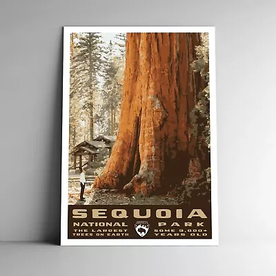 Sequoia National Park Travel Poster / Postcard California USA Multiple Sizes • $11.99