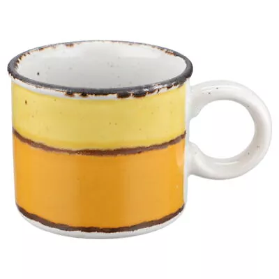 Midwinter Stonehenge Sun Coffee Mug • £13.37