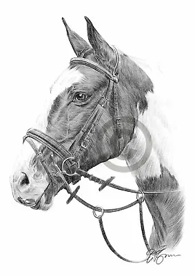 Horse - Animal Artwork - Pencil Drawing Print A3 / A4 Sizes Signed By Artist • £8.99