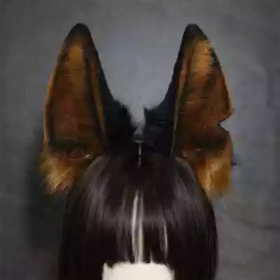 Halloween Handmade Wolf Ear Headband Hair Hoop Cosplay Accessories • $40.11