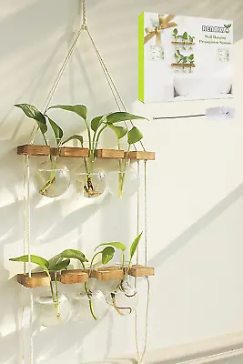 Wall Hanging Plant Propagation Station -6 Bulb Vase With 2 Tiered Wooden Stand  • $20.60