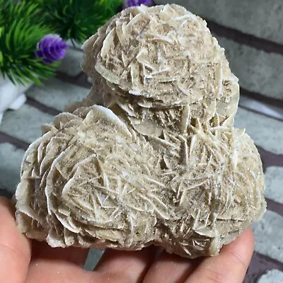 $38 • Buy 326g DESERT ROSE SELENITE Specimen Crystal Stone Mineral Cluster SMM
