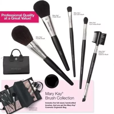 Mary Kay Brush Professional MUA Collection & Cosmetic Organizer Travel Case Bag • $69.99