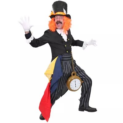 Mad Hatter Costume Tv Film Fancy Dress Teacher World Book Day Costume Unisex • £30.99